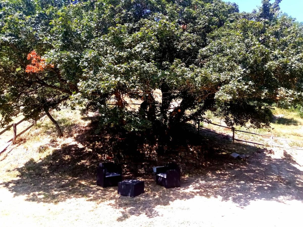 Locanda Di Alberi Borgo San Lorenzo Exterior foto